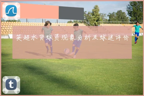 英超水货球员现象分析及球迷评价