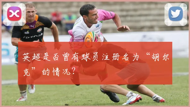 英超是否曾有球员注册名为“胡尔克”的情况？