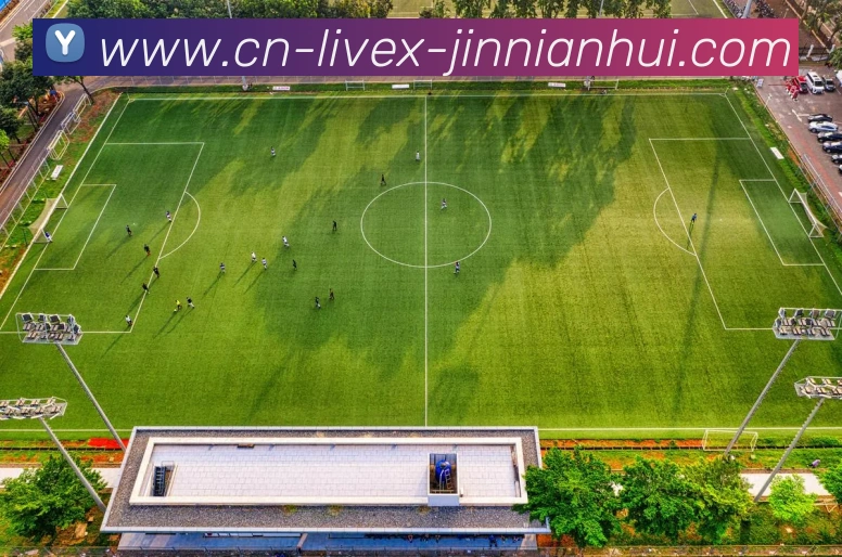 金年会体育平台生态图