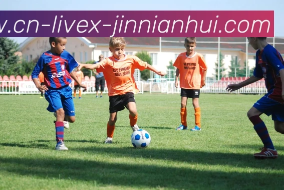 金年会体育全站App